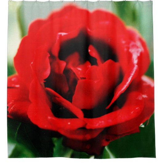 Red Rose Love Douchegordijn (Voorkant)