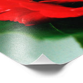 Red Rose Love Foto Afdruk (Hoek)