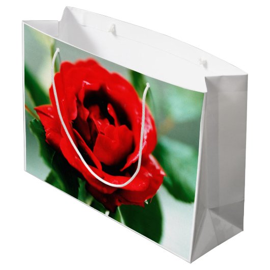 Red Rose Love Groot Cadeauzakje (Achterkant Gekanteld)