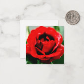 Red Rose Love Notitiekaartje (Voorkant / Achterkant in situ)