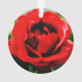 Red Rose Love Ornament (achterkant)