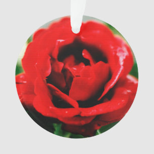 Red Rose Love Ornament