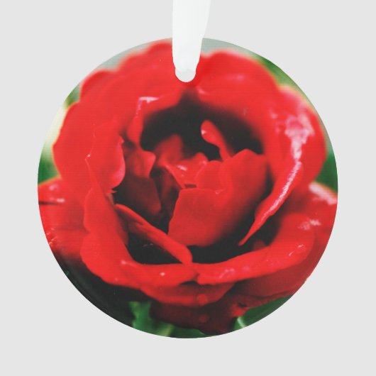 Red Rose Love Ornament (voorkant)