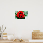 Red Rose Love Poster (Keuken)