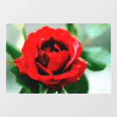 Red Rose Love Raamsticker (Vel)