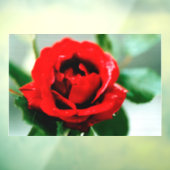 Red Rose Love Raamsticker (Vel 3)