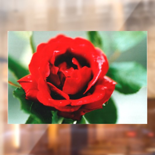 Red Rose Love Raamsticker (Vel 2)