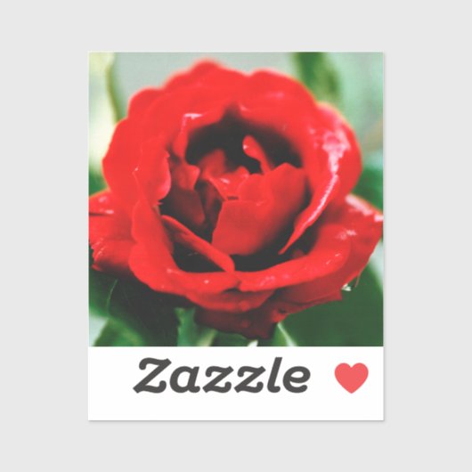 Red Rose Love Sticker (Vel)