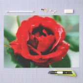 Red Rose Love Tissuepapier (Craft)