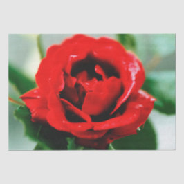 Red Rose Love Tissuepapier