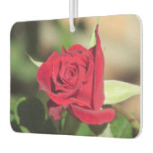 Red Rose Luchtverfrisser (Links)