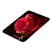 Red Rose Magneet (Linkerzijde)