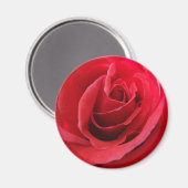 Red Rose Magnet (Voorkant / Achterkant)