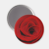 Red Rose Magnet (Voorkant / Achterkant)