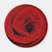 Red Rose Magnet (Voorkant)
