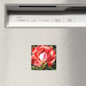 Red Rose Magnet (Insitu (Vaatwasser))