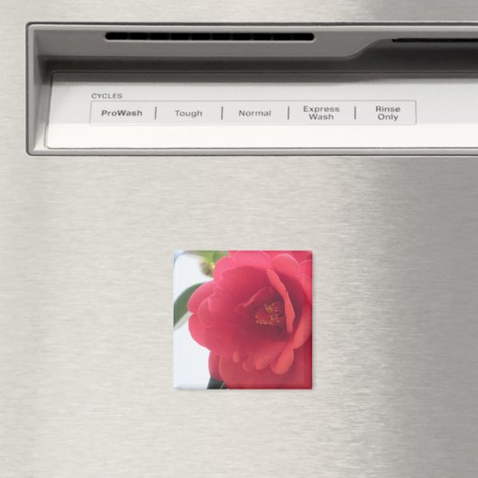 Red Rose Magnets Magneet (Insitu (Vaatwasser))