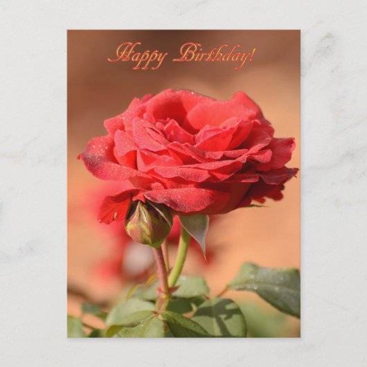 Red Rose met Bud Happy Birthday Briefkaart (Voorkant)