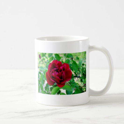 Red Rose met Bud Koffiemok (Rechts)