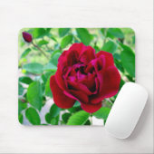 Red Rose met Bud Muismat (Met muis)
