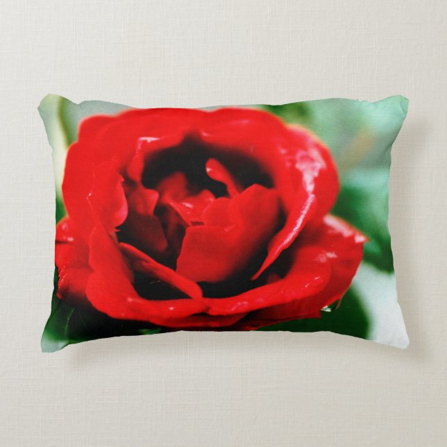 Red Rose met dauwdruppels Accent Kussen (Voorkant)