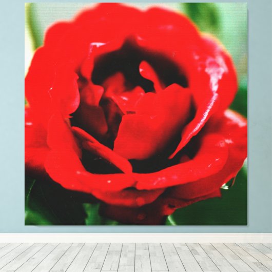 Red Rose met dauwdruppels Canvas Afdruk (Insitu (Houten vloer))