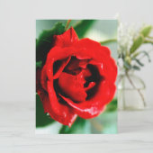 Red Rose met dauwdruppels Feestdagenkaart (Staand voorkant)