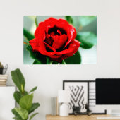 Red Rose met dauwdruppels Poster (Thuiskantoor)