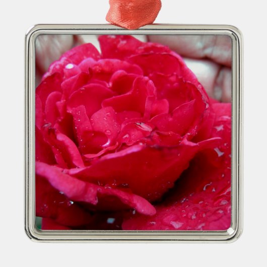 Red Rose Metalen Ornament (Voorkant)