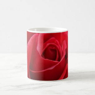 Red Rose Mok