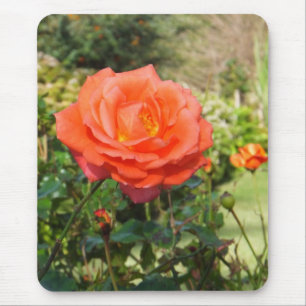 Red Rose mousepad Muismat