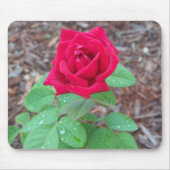 Red Rose Muismat (Voorkant)