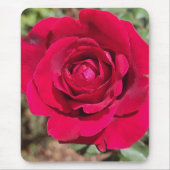 Red Rose Muismat (Voorkant)