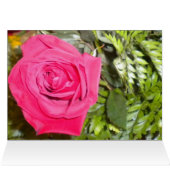 Red Rose N Fern - Dank u wel! (Binnen Horizontaal (Boven))