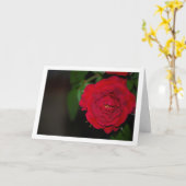 Red Rose Night Portret Kaart (Gele Bloem)