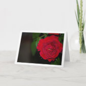 Red Rose Night Portret Kaart (Voorkant)