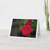 Red Rose Night Portret Kaart (Voorkant)