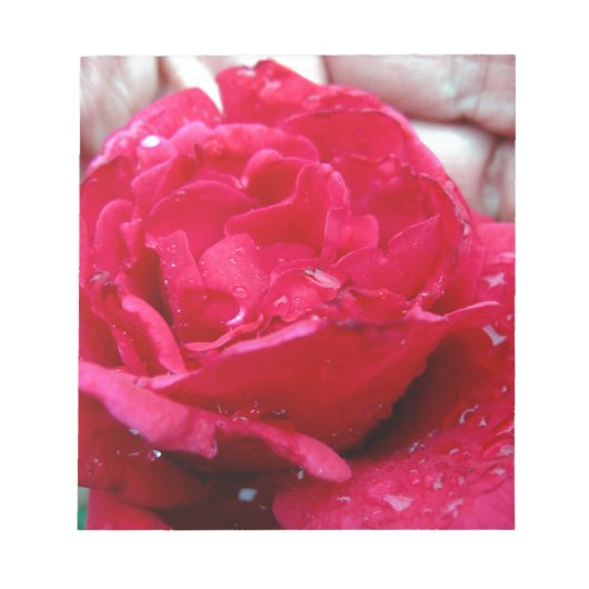 Red Rose Notitieblok (Voorkant)