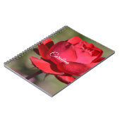 Red Rose Notitieboek (Linkerzijde)