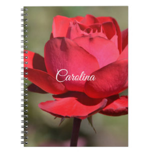 Red Rose Notitieboek