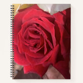 Red Rose Notitieboek (Voorkant)