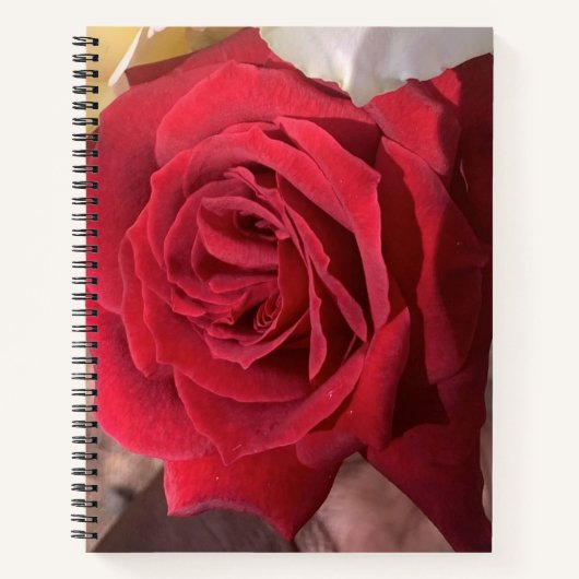 Red Rose Notitieboek (Voorkant)