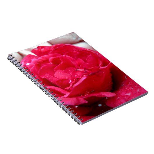 Red Rose Notitieboek (Rechterzijde)