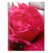 Red Rose Notitieboek (Voorkant)
