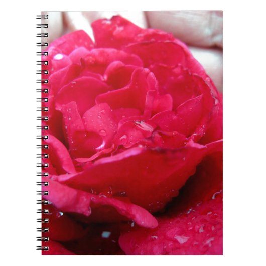 Red Rose Notitieboek (Voorkant)