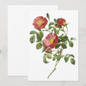 Red Rose of Love by Redoute Invitation (Voorkant / Achterkant)