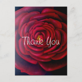 Red Rose Oil Painting Hartelijk dank Briefkaart