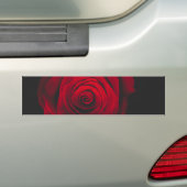 Red rose on black background vintage effect bumpersticker (Op auto)