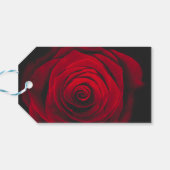 Red rose on black background vintage effect cadeaulabel (Achterkant Horizontaal)