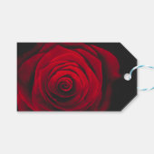 Red rose on black background vintage effect cadeaulabel (Voorkant (Horizontaal))